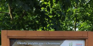 Kolejna atrakcja na osiedlu za Widawą