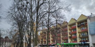 Ani Jednej Więcej. Ani jednej