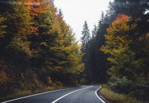 Długo wyczekiwana przebudowa drogi wojewódzkiej nr 454 w Krogulna