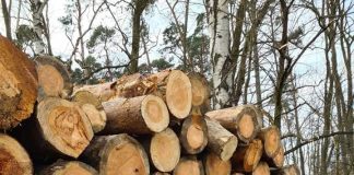 Oby ktoś miał pomysł na Park Północny