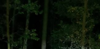 Wyszedł na grzyby i zniknął
