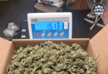 Nocny pościg zakończony w polu.