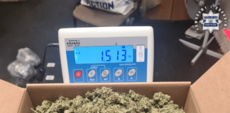 W pracy z narkotykami