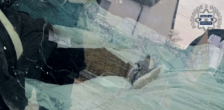 Dzieci zamiast w fotelikach jechały na kołdrze – wysoki mandat dla kierowcy