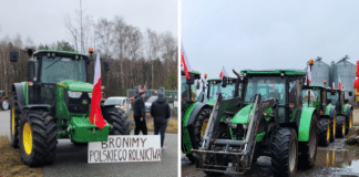 Mercosur czyli strachy na lachy