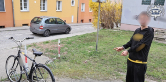 Seria kradzieży i włamań w powiecie.