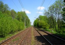 Dla lajków ryzykują życie – głupia moda się szerzy