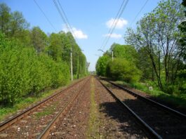 Dla lajków ryzykują życie – głupia moda się szerzy