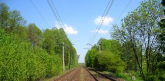 Dla lajków ryzykują życie – głupia moda się szerzy