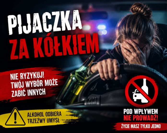 pijaczka_ai_ilu